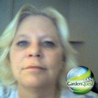 Cindy Crowder Photo 12