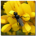 Mark Heath Photo 46