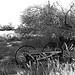 David Plowden Photo 8