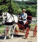Deborah Dawkins Photo 4
