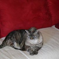 Elizabeth Samuels Photo 30