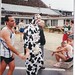 Don Hebert Photo 13