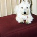 Nellie West Photo 11