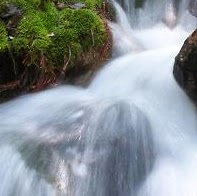Jim Meadows Photo 8