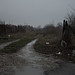 Dan Rust Photo 13