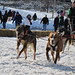Jonathan Schechter Photo 28