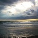 Ray Winters Photo 11