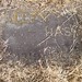Allen Hash Photo 3