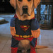 Jake Justice Photo 17