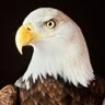 Don Blumenthal Photo 8