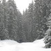 Tracy Peters Photo 22