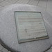 Elizabeth Lester Photo 19