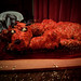 Leo Rodgers Photo 14