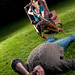 Traci Cook Photo 46