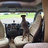 Sheila Rowlands Photo 7