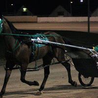 Robert Zink Photo 11
