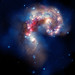 Chandra Brown Photo 22