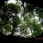 Gary Paul Photo 23
