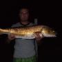 Josh Knowles Photo 27