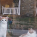 Eddy Stone Photo 12