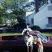 Judith Randall Photo 22
