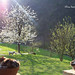 Catherine Bauer Photo 36