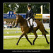 Andrew Nicholson Photo 20