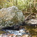 Albert Blaylock Photo 6