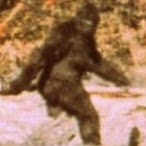 Andrew Hattaway Photo 2