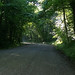 Debbie Lingle Photo 4
