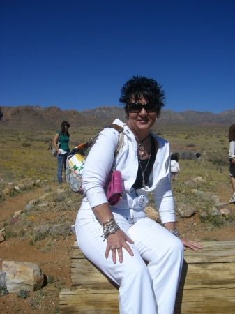 Julie Mueller Photo 21