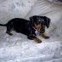 Linda Gann Photo 26
