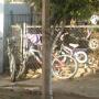 Eligio Vargas Photo 10