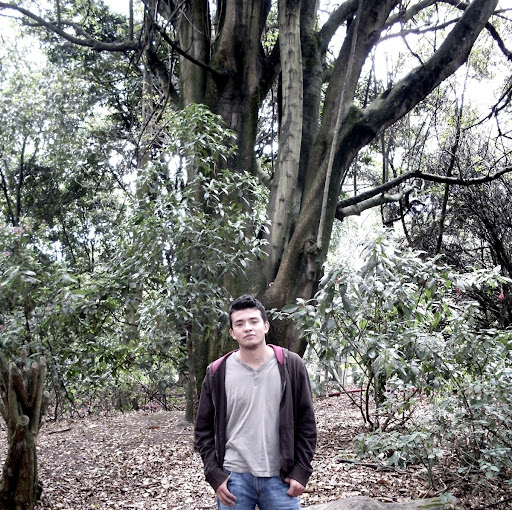 Diego Cardona Photo 28