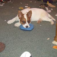 Nancy Mcelroy Photo 8