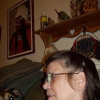 Mark Mays Photo 2