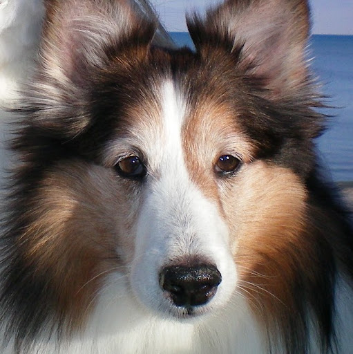 George Noble Photo 9
