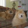 Sharon Cates Photo 35