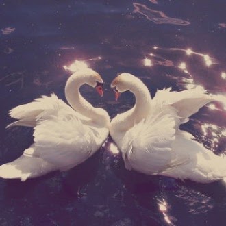 Vivian White Photo 13