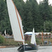 Hal Colvin Photo 8