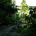 Chester Johnson Photo 16