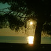 Dawn Calabrese Photo 12