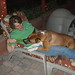 Teri Fox Photo 14