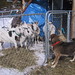 Elaine Hogan Photo 35