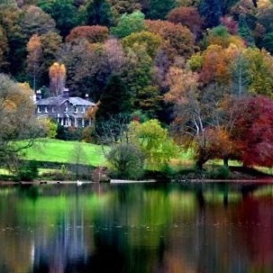 Debbie Looney Photo 9
