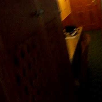 Derek Maxey Photo 5