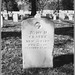 John Musselman Photo 14