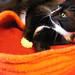 Kitty Sherman Photo 12