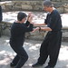 Cynthia Krause Photo 22
