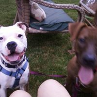 Gina Huffman Photo 9